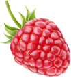 raspberry